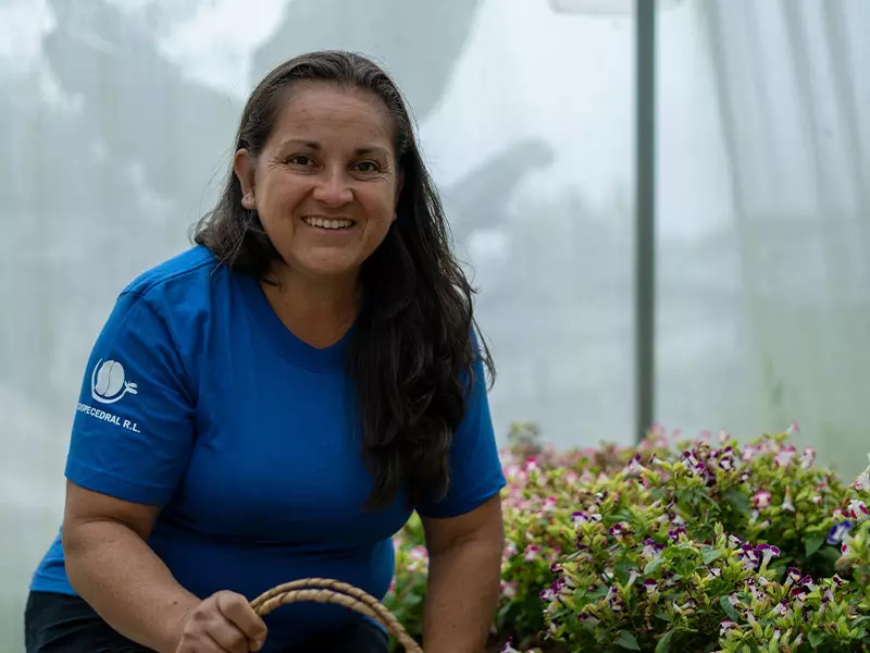 Comprar Flores comestibles (20g) Orgánico a domicilio en Costa Rica