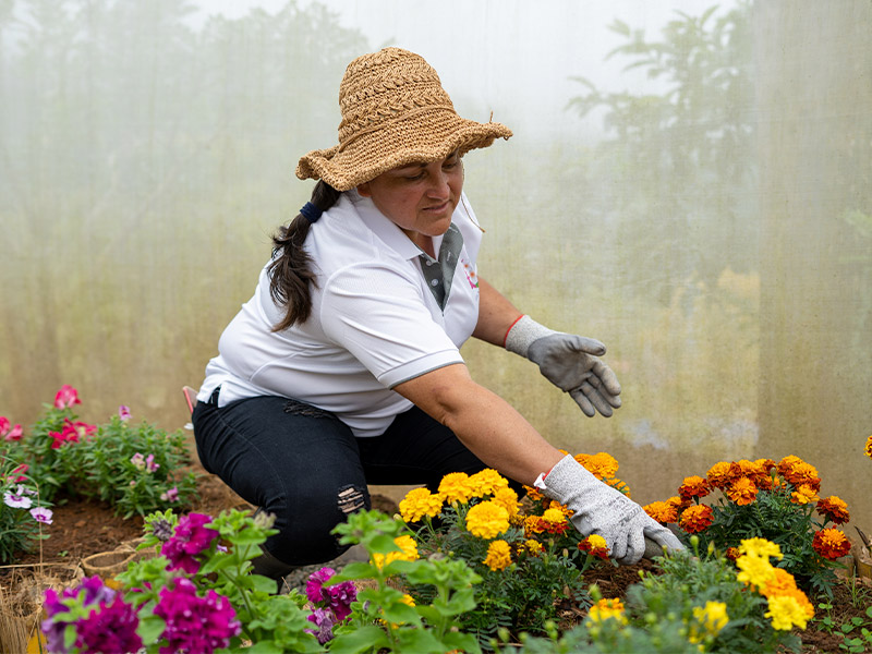 producto2-florescomestibles